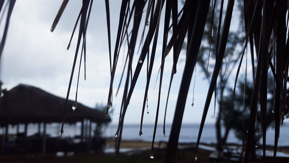 Planning Your Trip to Jamaica After Hurricane Melissa: Top Resorts Ready to Welcome You